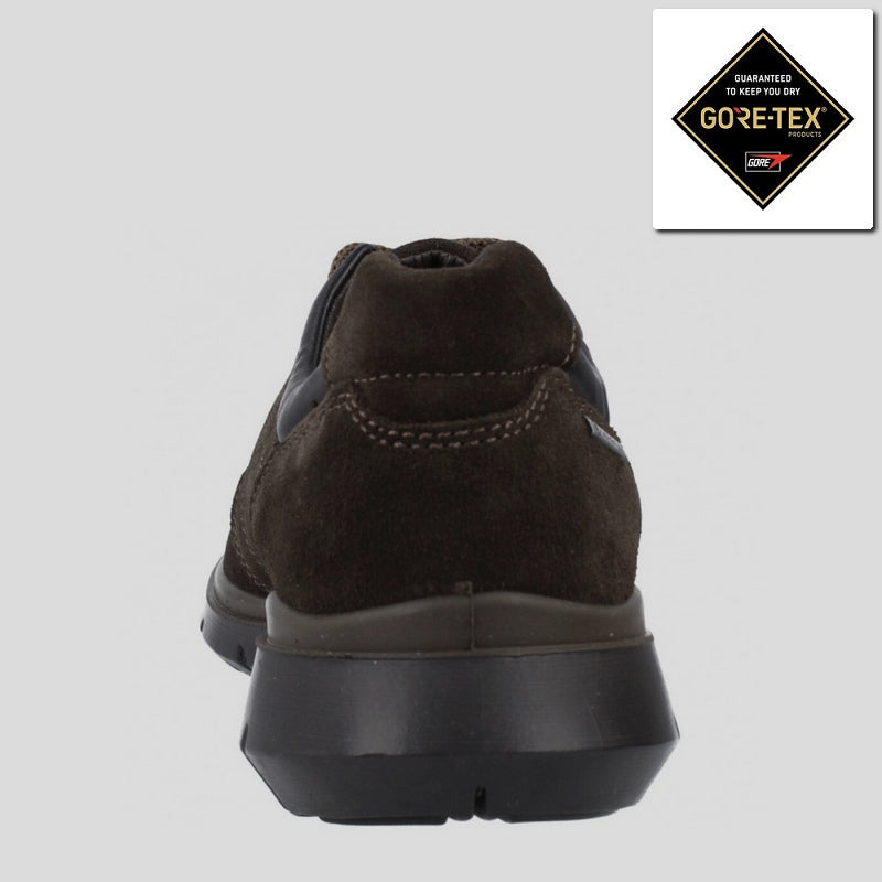 Blucher Sport IGI&CO GORE-TEX Ante MARRÓ