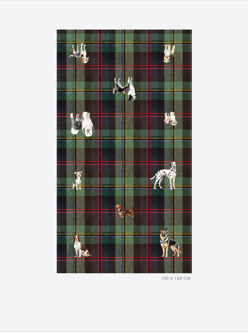 Foulard Perritos VILAGALLO Escoces Verde