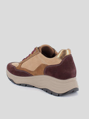 Deportiva Cuña IGI&CO GORE-TEX Ante