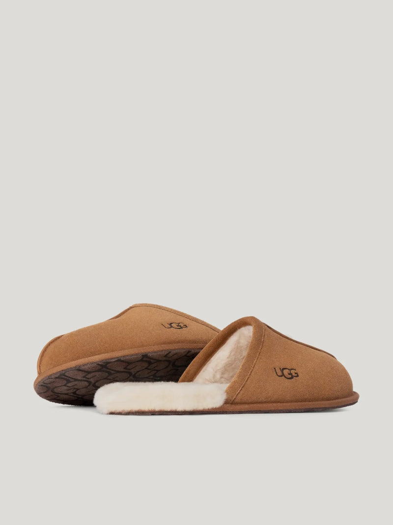 Zapatilla Hombre UGG Chinela SCUFF