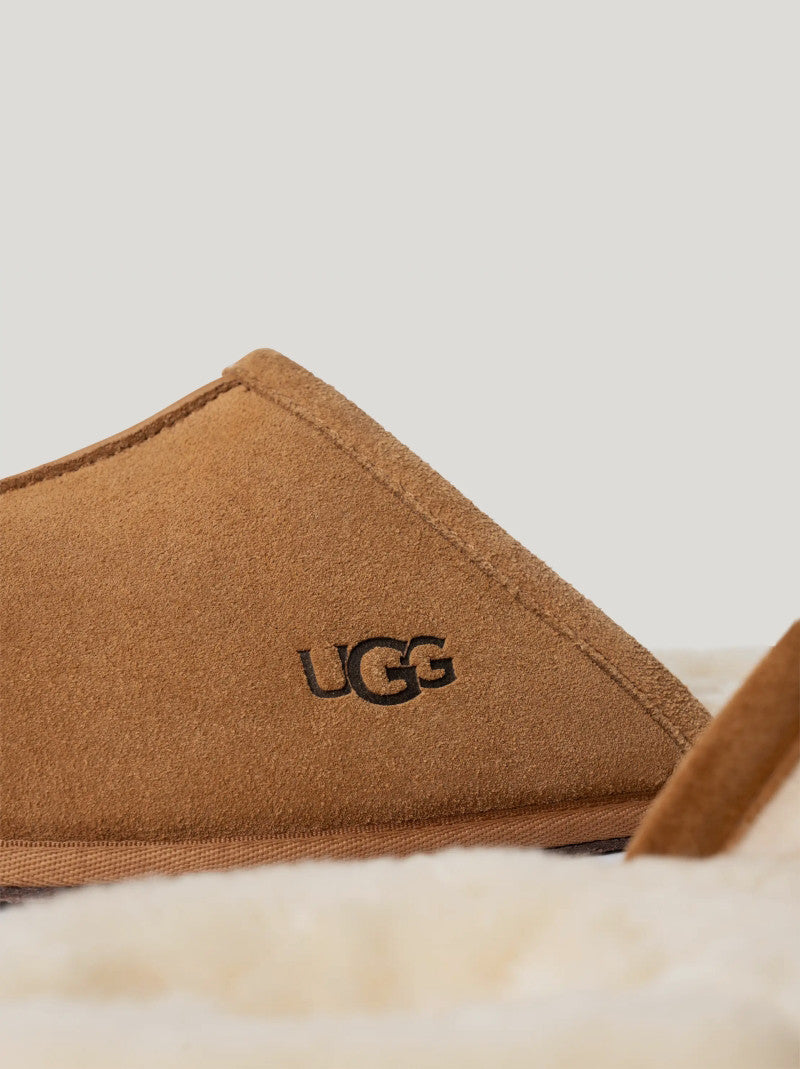 Zapatilla Hombre UGG Chinela SCUFF