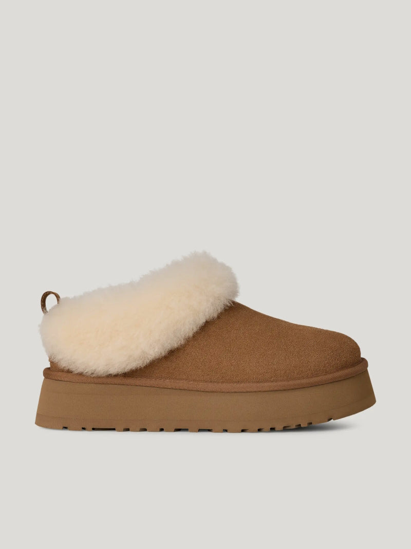 Zueco UGG Tazzelle CHESTNUT
