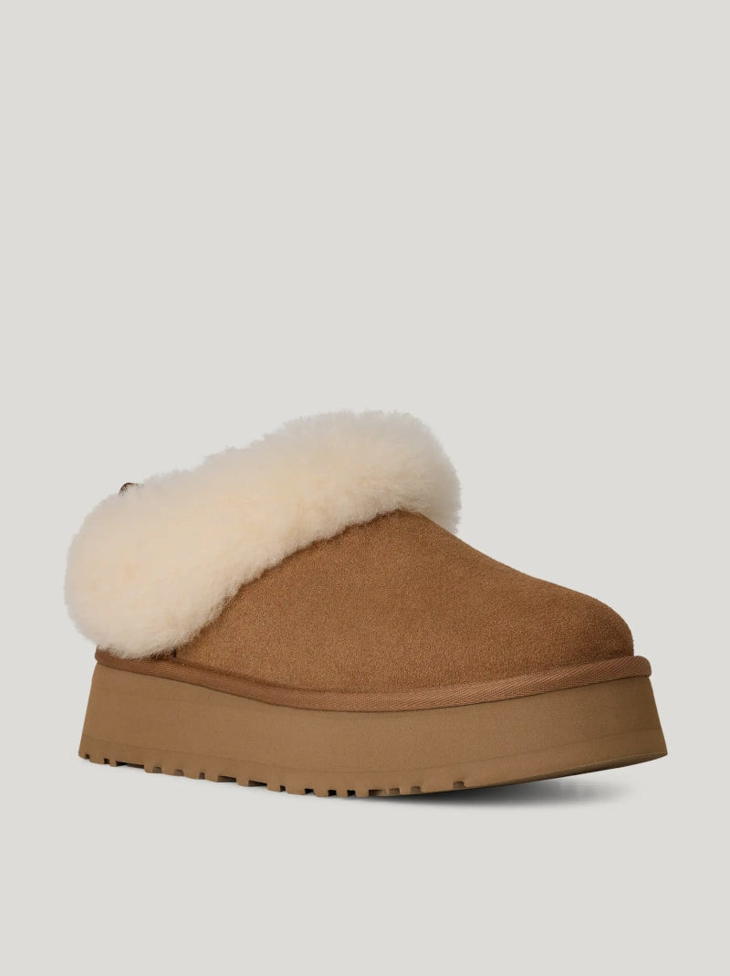 Zueco UGG Tazzelle CHESTNUT