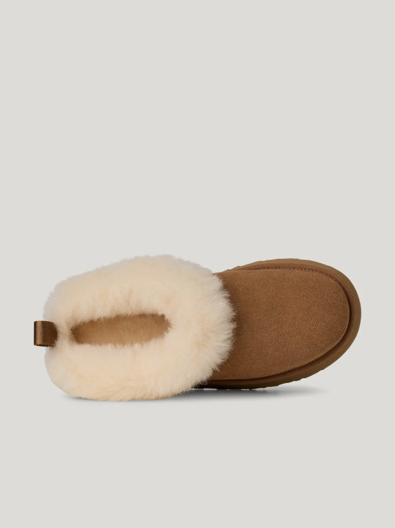 Zueco UGG Tazzelle CHESTNUT