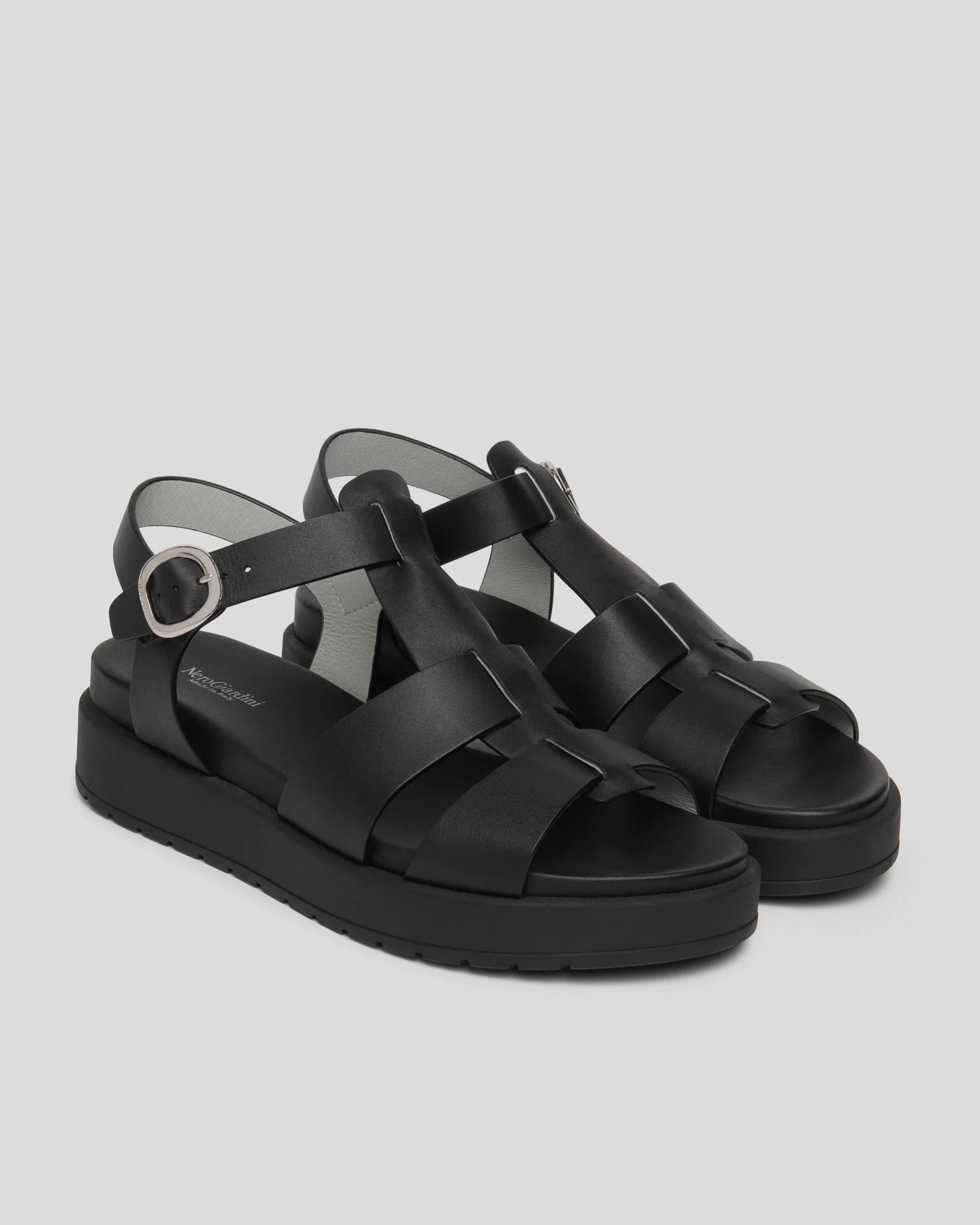 12157_2.jpg