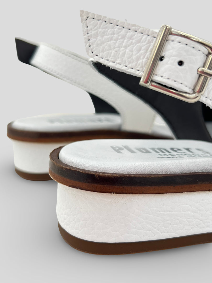 Sandalia PLUMERS Lazo Piel BLANCO