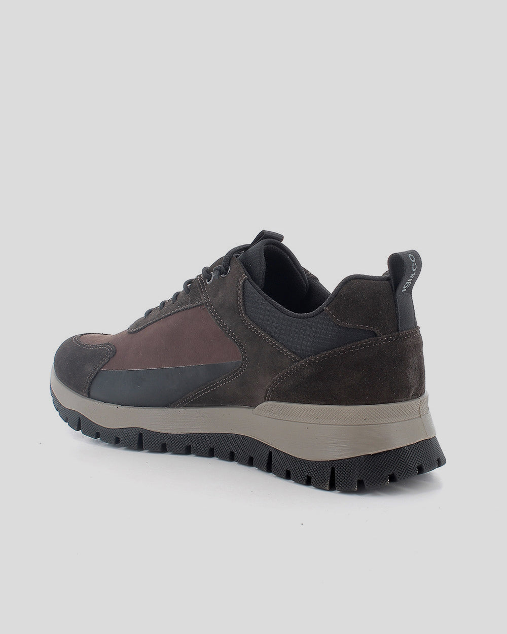 Zapato Sport Hombre IGI&CO GORE-TEX Combi MARRÓN